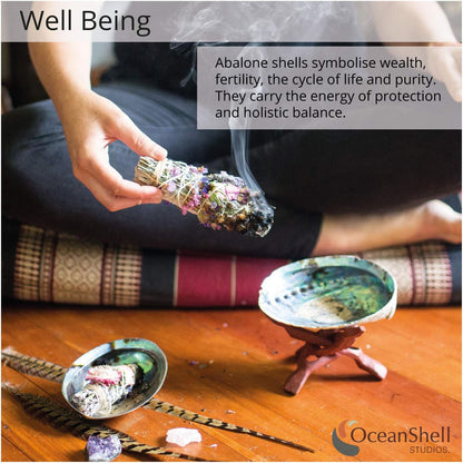 Ocean Shell Studios 5- 6 Inches Premium Natural Abalone (Pāua) Shell for Smudging, Cleansing Home, Meditation, Shell Crafts,Incense Holder, Home Décor, 100% Natural, Sustainable.