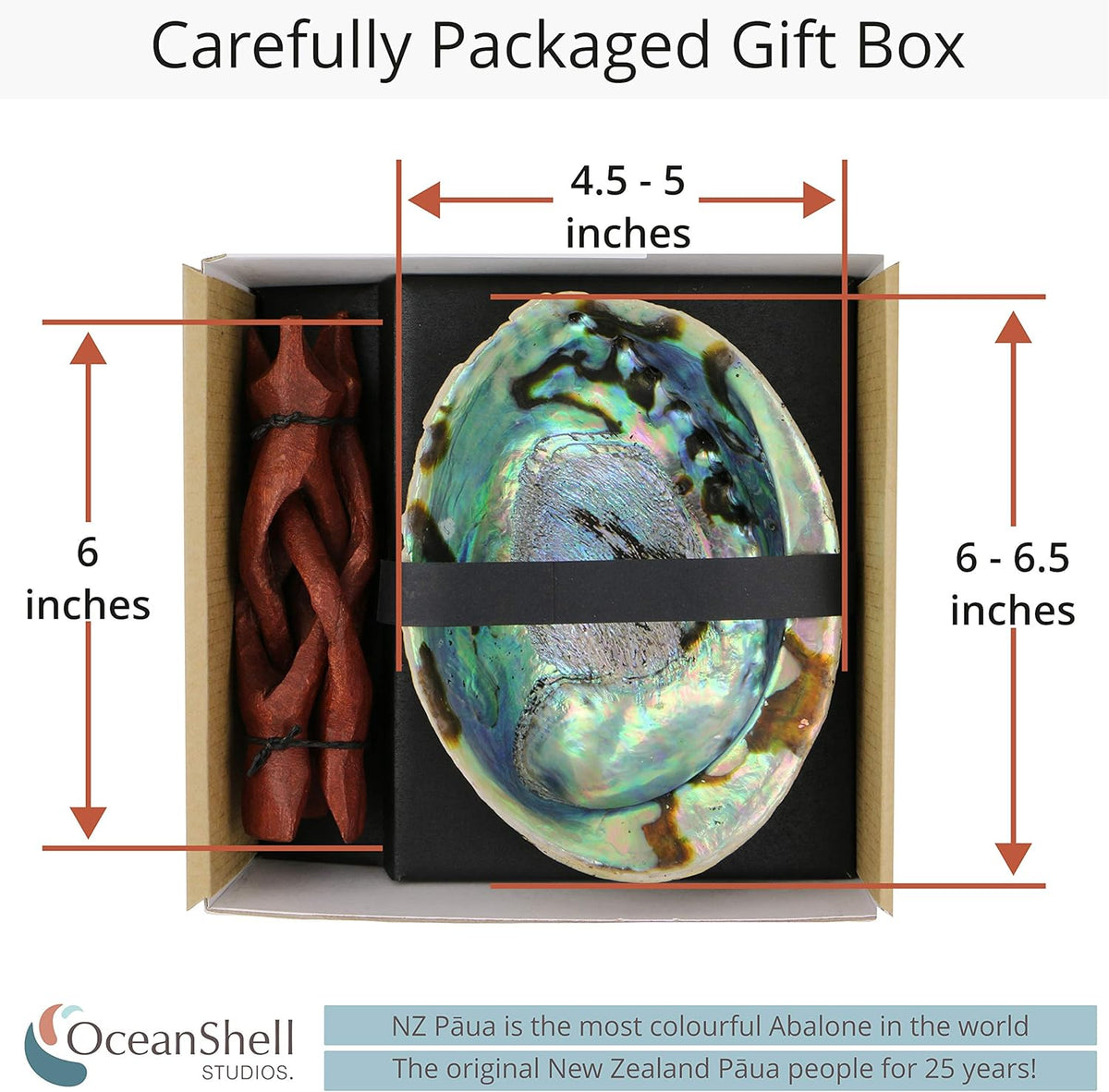 Ocean Shell Studios 5- 6 Inches Premium Natural Abalone (Pāua) Shell for Smudging, Cleansing Home, Meditation, Shell Crafts,Incense Holder, Home Décor, 100% Natural, Sustainable.