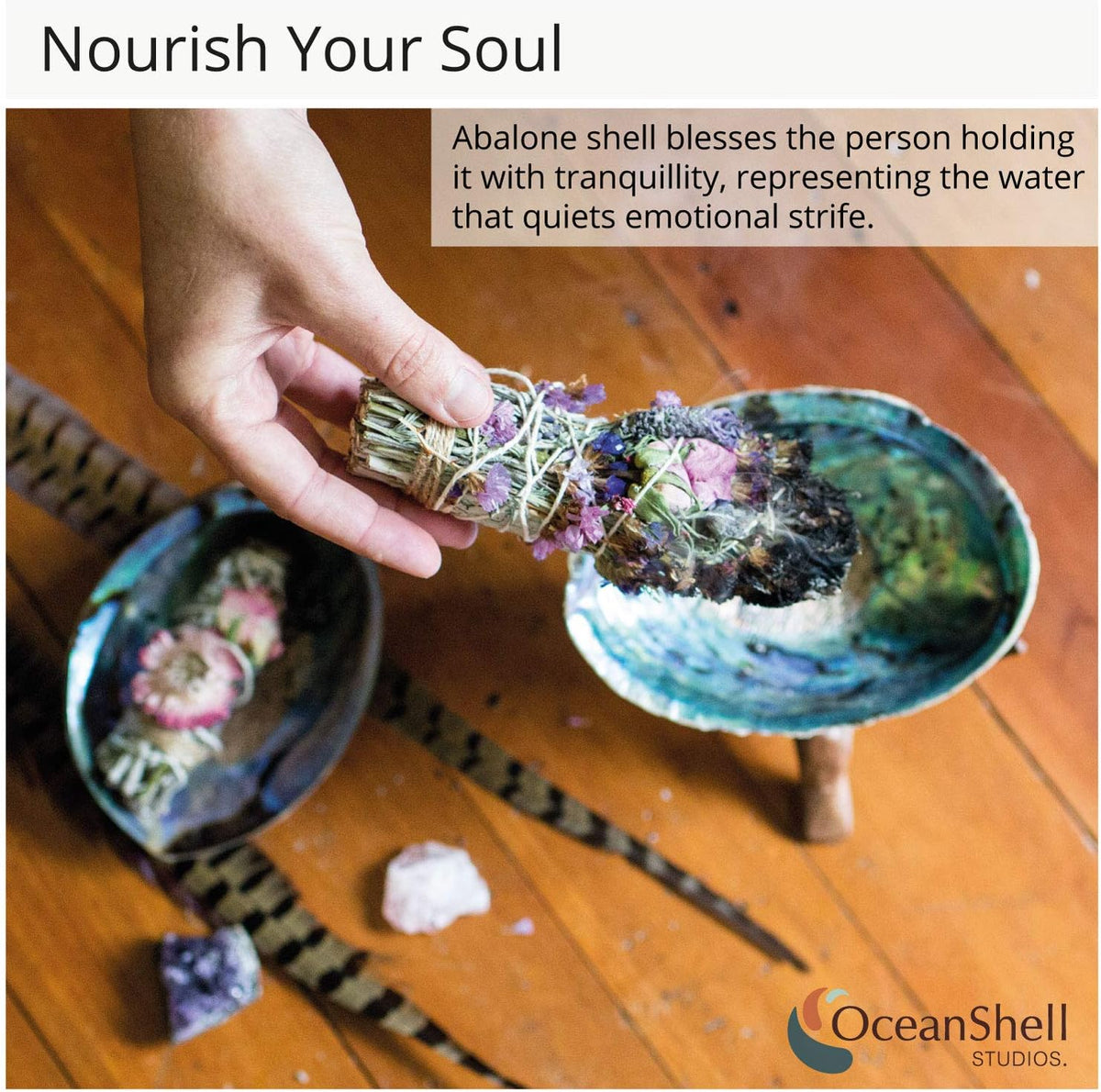 Ocean Shell Studios 5- 6 Inches Premium Natural Abalone (Pāua) Shell for Smudging, Cleansing Home, Meditation, Shell Crafts,Incense Holder, Home Décor, 100% Natural, Sustainable.
