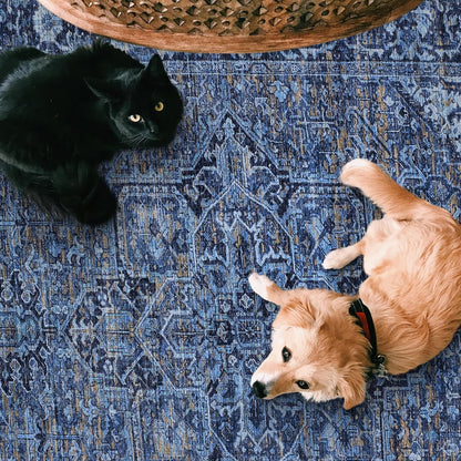 Realife Machine Washable Rug - Stain Resistant, Non-Shed - Eco-Friendly, Non-Slip, Family & Pet Friendly - Made from Premium Recycled Fibers - Vintage Distressed Traditional - Blue, 7'6" X 9'6"